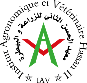 Iav Logo - IAV - Maroc Logo Vector (.AI) Free Download