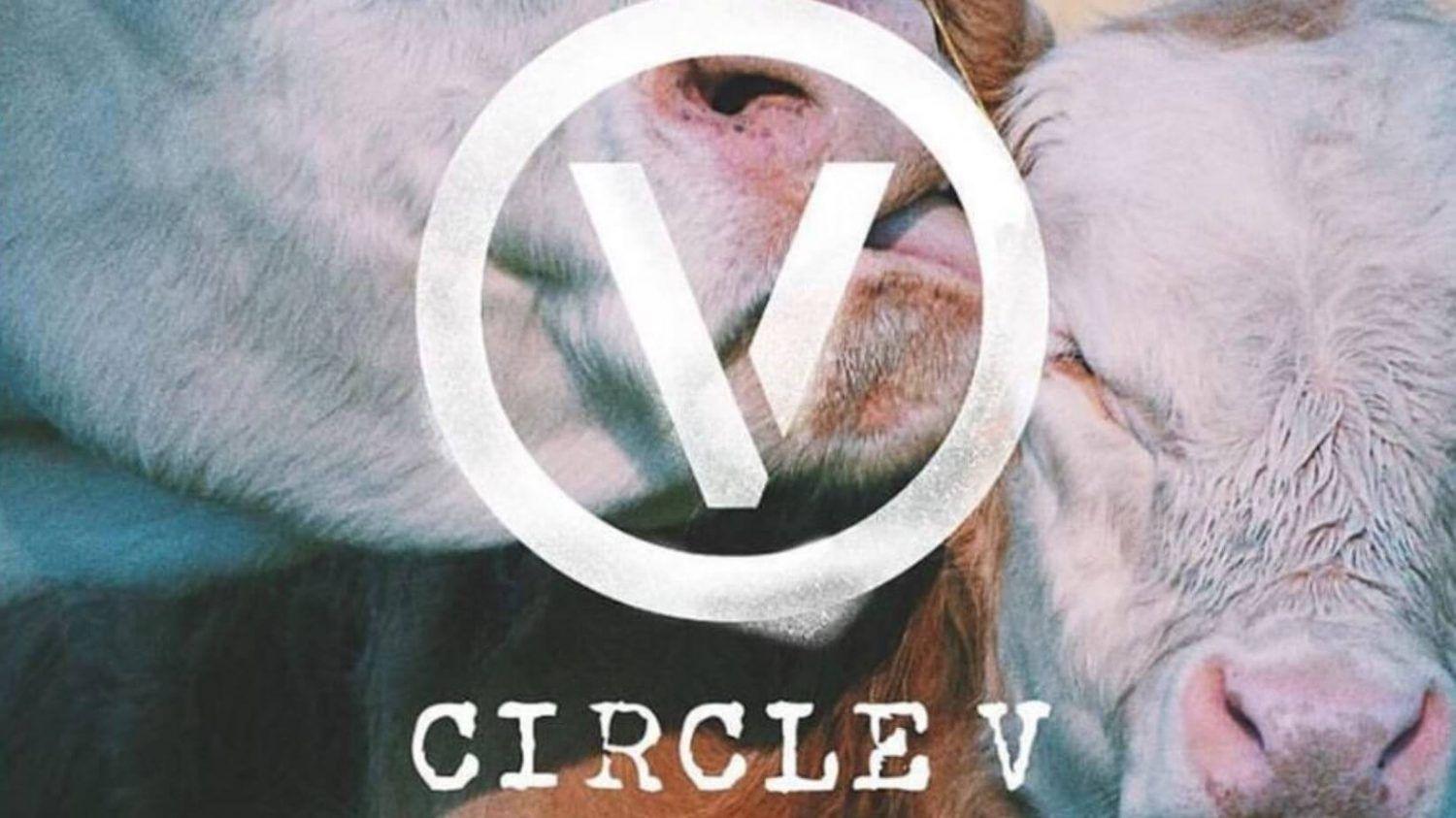 Circle V Logo - Moby and Tony Kanal's Vegan 'Circle V' Festival Announces 2018 Dates