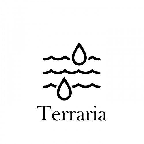 Black and White Terraria Logo - Terraria Releases & Artists on Beatport