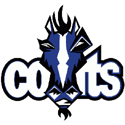 NFL Colts Logo - Indianapolis Colts Primary Logo | Sports Logo History