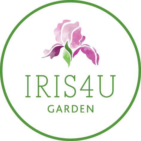 Iris Flower Logo - Cracklin Rosie. All Iris. Iris Catalog. Iris4u Iris Garden