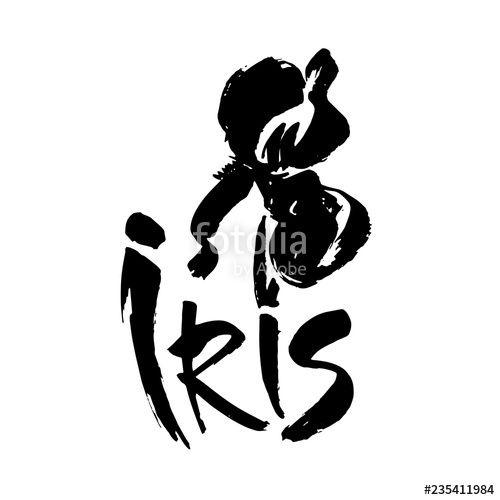Iris Flower Logo - Vector flower logo. Floral background. Calligraphy ink. Stylized ...