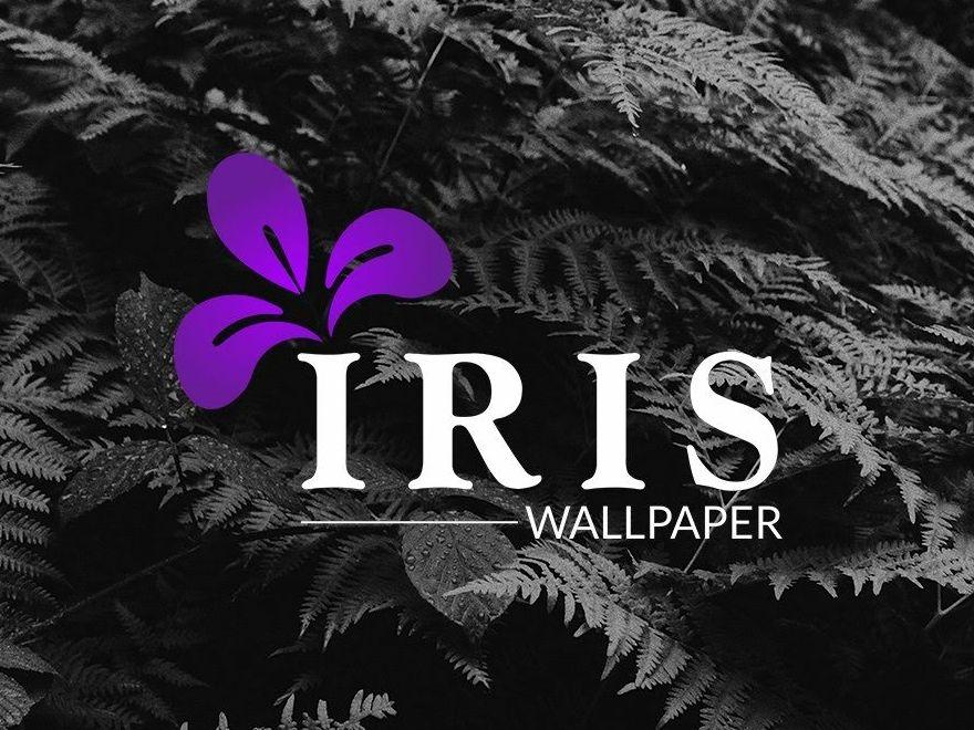 Iris Flower Logo - Iris Wallpaper Company by Artan X | Dribbble | Dribbble