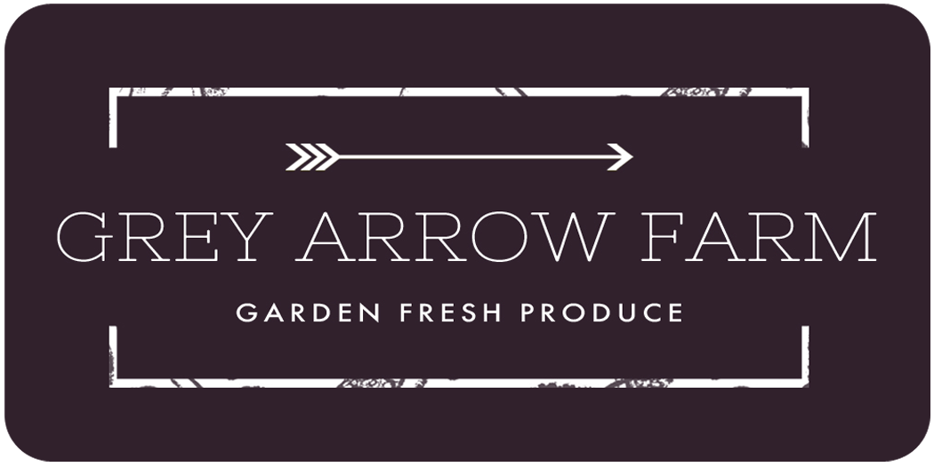 Grey Arrows Logo - OUR STORY – CSA – Edmonton, Camrose | Grey Arrow Farm