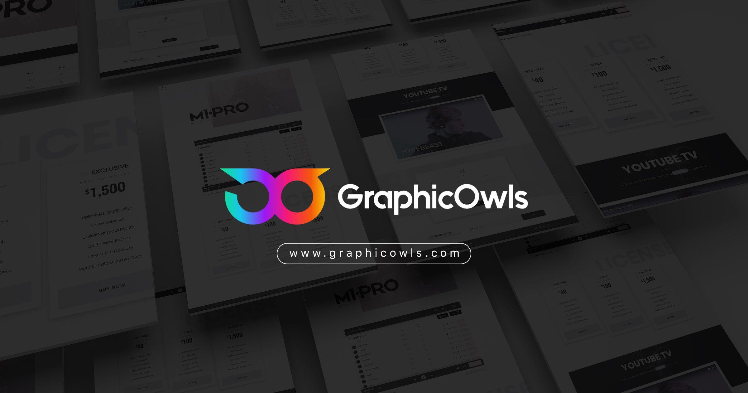 Owl Graphic Logo - Premium Websites for Producers & Artists