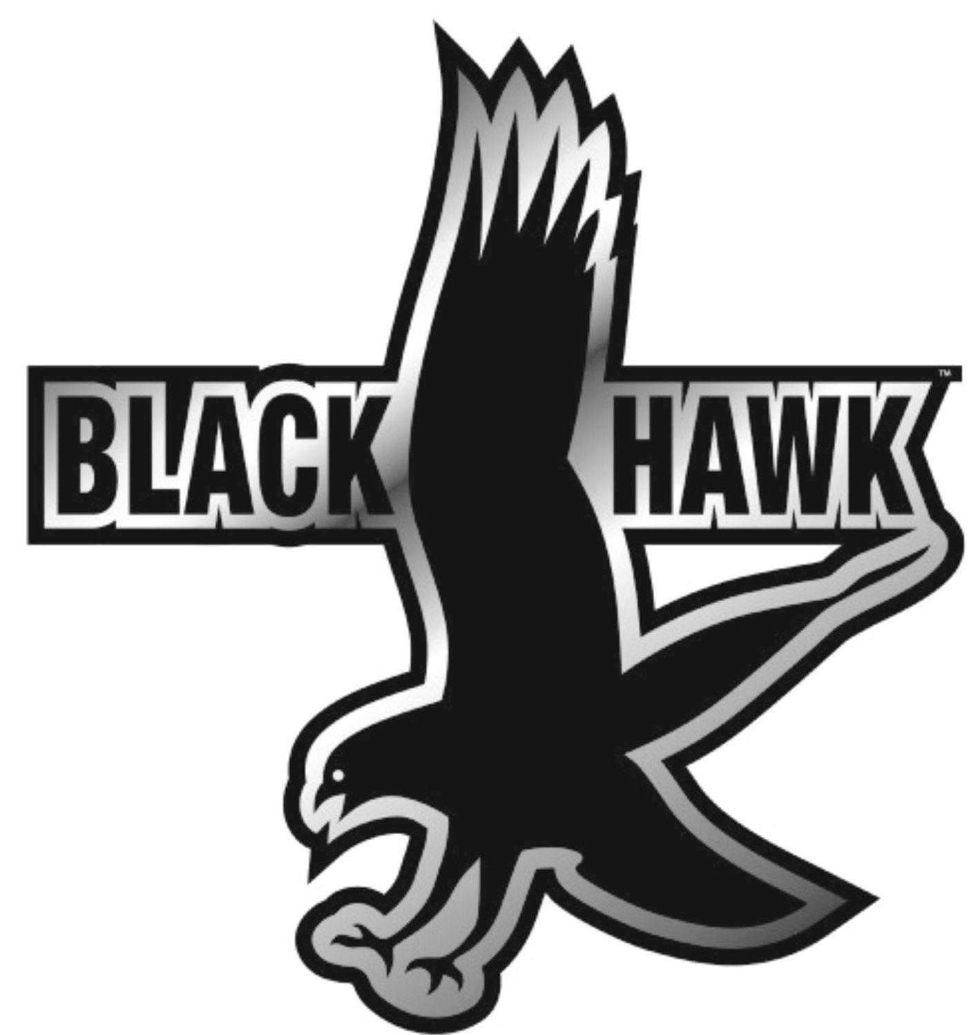Blackhawk Logo - The Chicago Blackhawks, Indian Logos, and the U.S. Empire - Paul Street