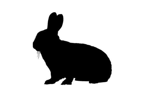 Bunny Silhouette Logo - Vinyl Decal - Bunny Rabbit Silhouette Custom Vinyl Decal Sticker ...