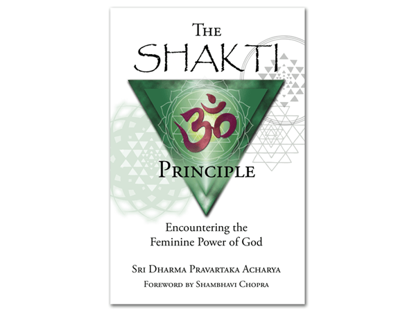 Feminine Zen Logo - The Shakti Principle: Encountering the Feminine Power of God by Sri ...