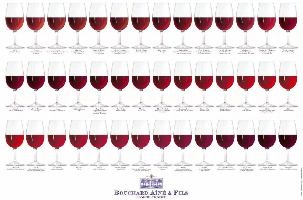 Wine Colored Logo - Wine Color – Complete Visual Guide - Social Vignerons