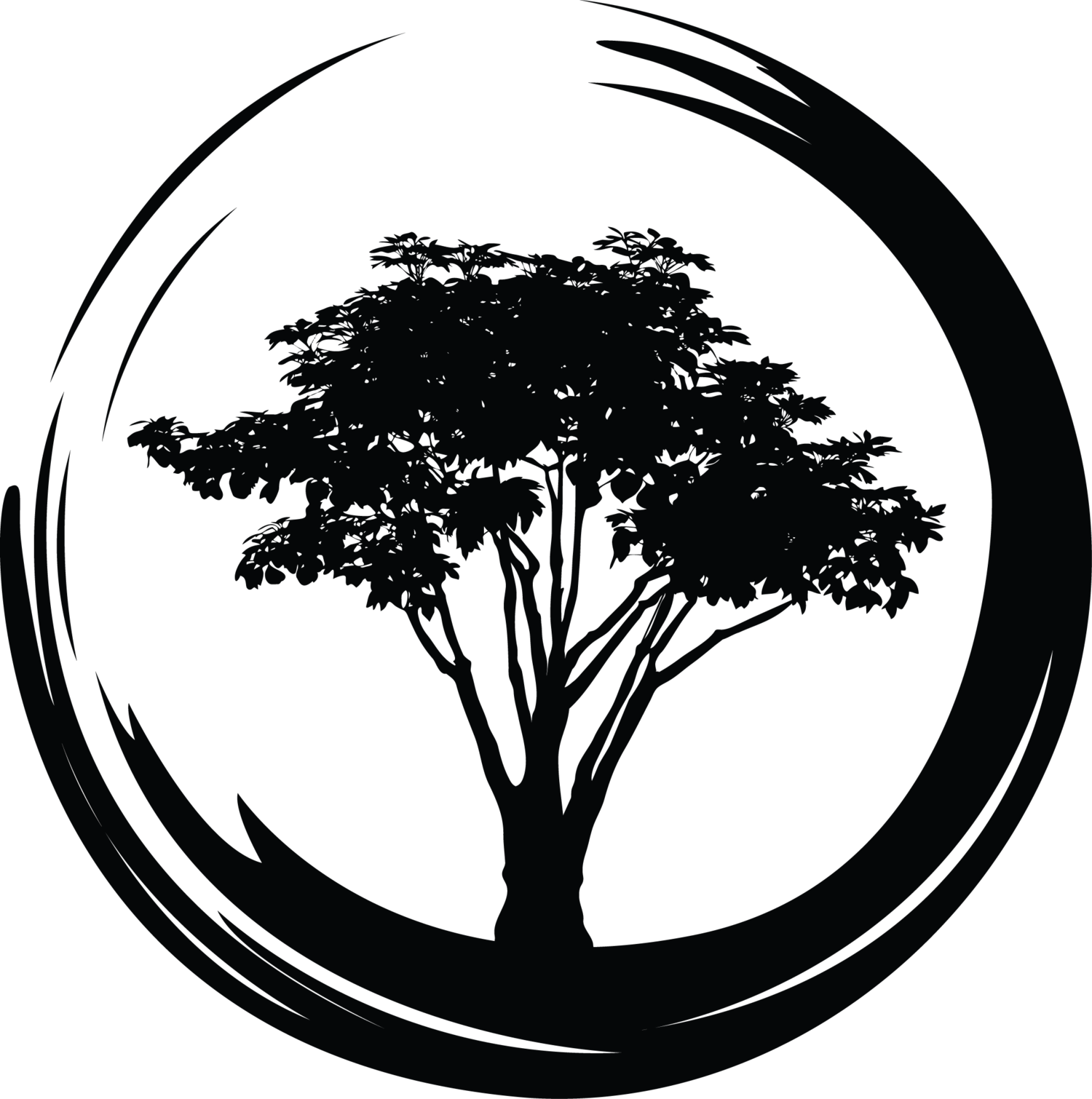Black Tree  in Circle Logo  LogoDix