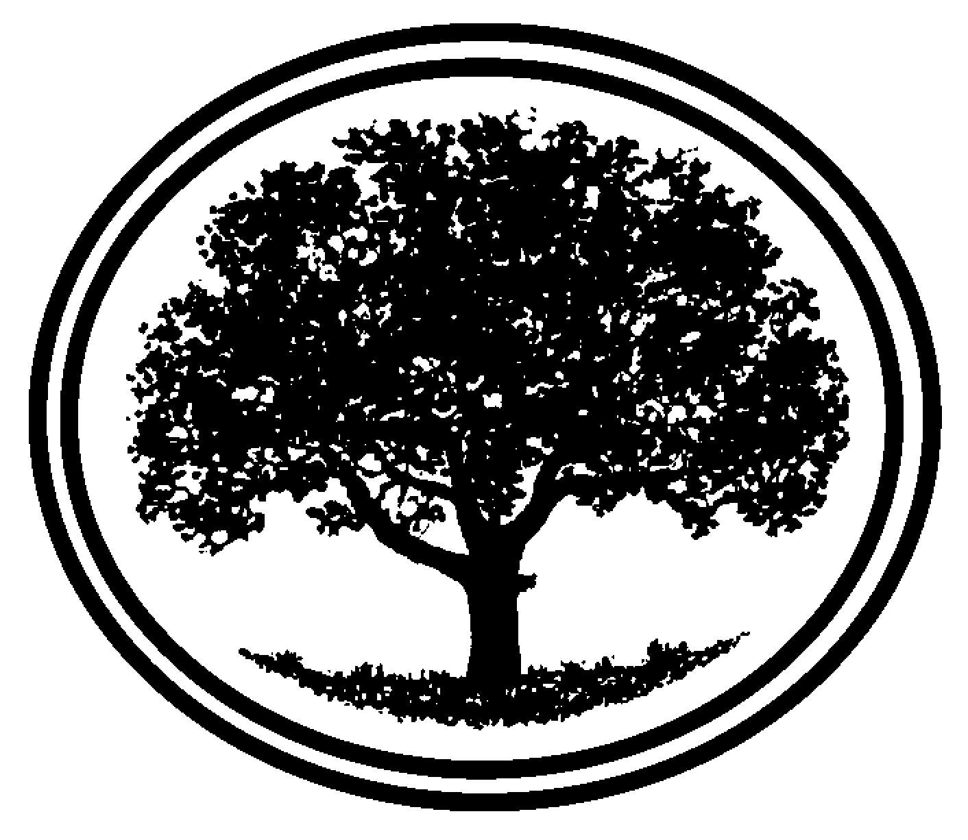 black tree in circle logo