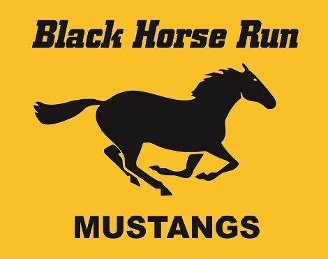 Black and Yellow Horse Logo - TSA Raleigh summer league head swim coach position for Black Horse ...