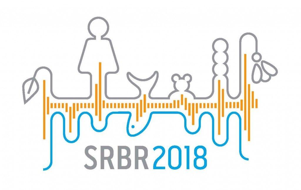 Google Competition 2018 Logo - SRBR Logo Competition. SRBR: Society for Research
