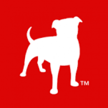 White Dog Red Background Logo - General Market | stocksaints.com