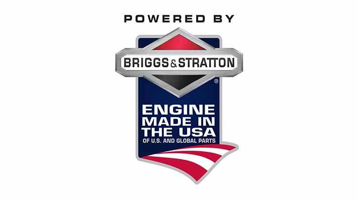 Briggs and Stratton Logo - Professional Series™ (V Twin)