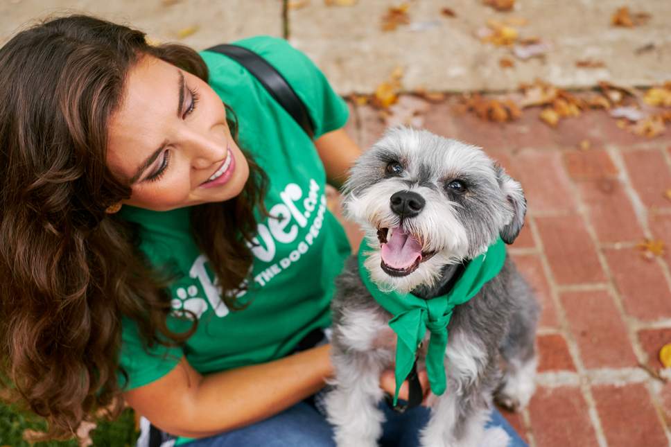 Rover Pet Sitting Logo LogoDix