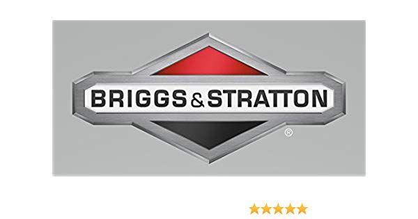 Briggs and Stratton Logo - Amazon.com : Briggs & Stratton CE8020 Text Book Genuine Original