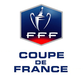French Cup Logo - French Cup 2013 2014