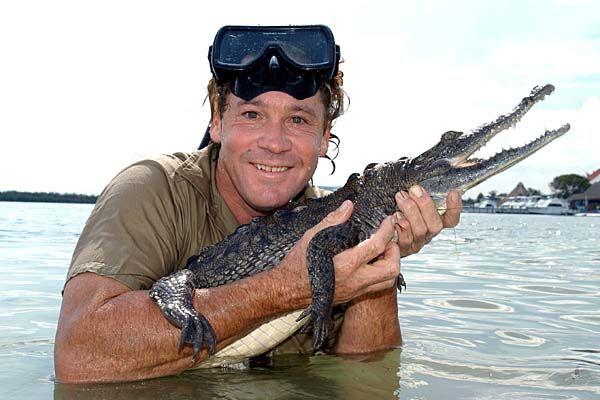 Steve Irwin Crocodile Hunter Logo - Steve Irwin - The Wildlife Warrior - Adventure Nation Blog