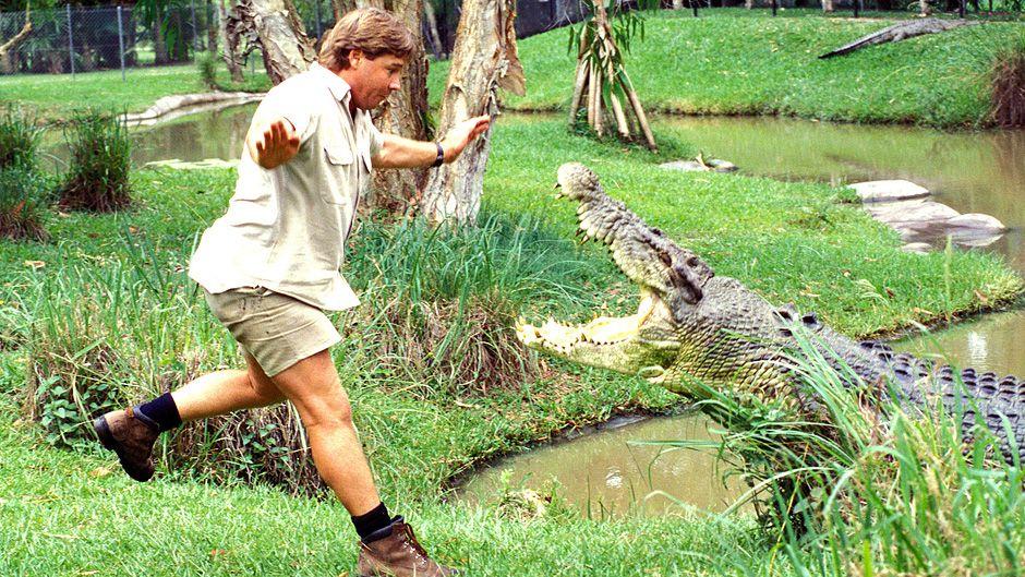 Crocodile From Australia Zoo Logo - Steve Irwin: The Crocodile Hunter in his own words - ABC News ...