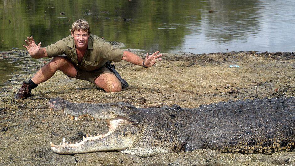 Steve Irwin Crocodile Hunter Logo - Steve Irwin: The Crocodile Hunter in his own words - ABC News ...