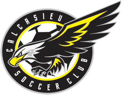 Eagle Soccer Logo - Calcasieu Soccer Club