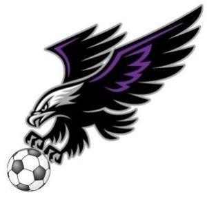 Eagle Soccer Logo - Home United Senior Soccer Club