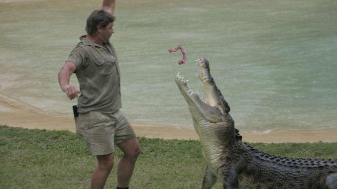 Steve Irwin Crocodile Hunter Logo - Steve Irwin's original croc hunter team reunites for feed | Sunshine ...