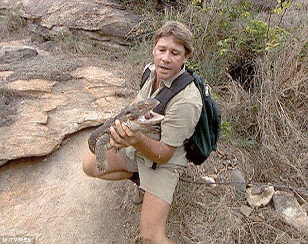 Steve Irwin Crocodile Hunter Logo - Steve Irwin's cameraman Justin Lyons reveals his final words | Daily ...