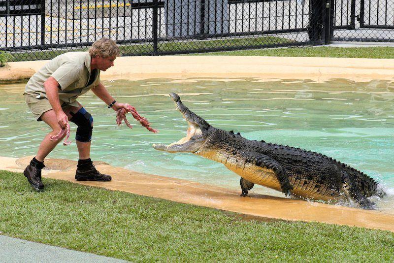 Steve Irwin Crocodile Hunter Logo - Remembering the Crocodile Hunter | Ever Widening Circles
