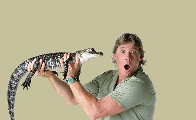 Steve Irwin Crocodile Hunter Logo - Steve Irwin Crocodile Hunter Costume. DIY Guides for Cosplay