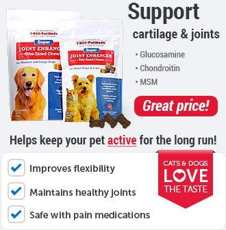 1800PetMeds Logo - 1-800-PetMeds® - America's Largest Pet Pharmacy | Official Site