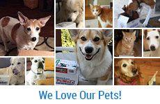 1800PetMeds Logo - 1-800-PetMeds® - America's Largest Pet Pharmacy | Official Site