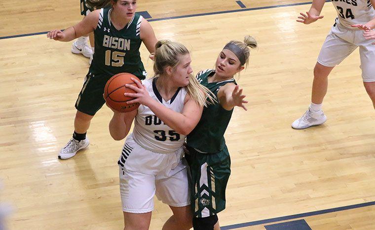 Central City Bison Logo - Duke girls shake off slow start to top Bison 55-30 | Sports ...