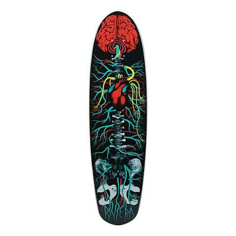 Born a Lion Skateboard Logo - RIVIERA SKATEBOARDS – Select Skate Shop