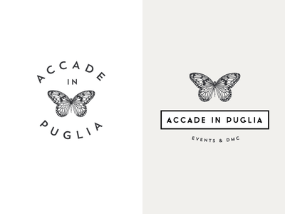 Butterfly Brand Logo - Accade In Puglia Branding - Butterfly proposal | Logo Inspiration ...