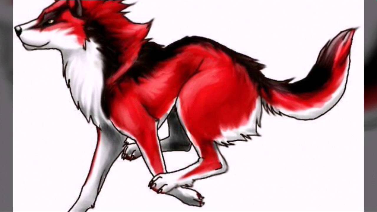 Anime Red Wolf Logo - Anime wolves-Zero - YouTube
