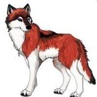 Anime Red Wolf Logo - Red Wolf Anime Animated Gifs | Photobucket