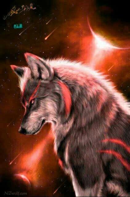 Blue And Red Wolf red fire wolf HD phone wallpaper  Pxfuel