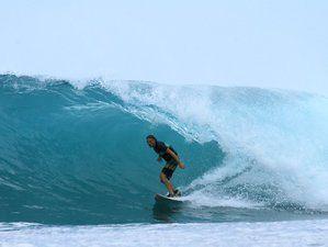 Tropical Surf Logo - 10 Days Tropical Surf Camp in Siberut, Mentawai Islands, Indonesia ...