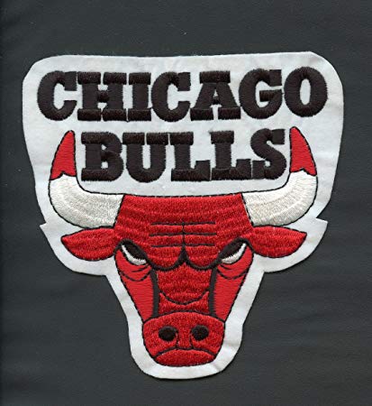 Michal Jordan Logo - NBA CHICAGO BULLS 1991 World Champion (Michael Jordan) Logo Emblem ...