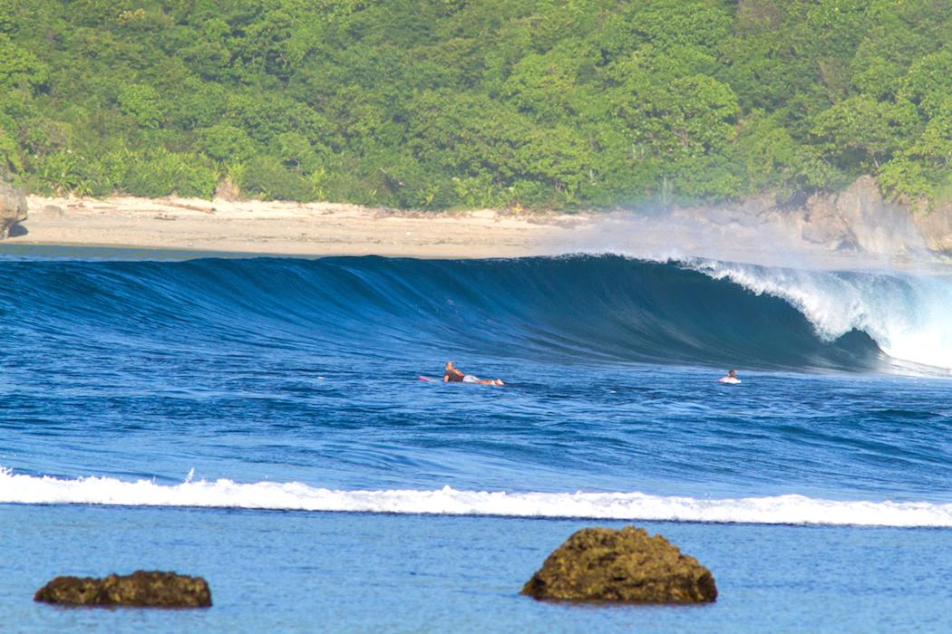 Tropical Surf Logo - Surfing West Sumbawa, Indonesia | Guide, Photos, Surf Map