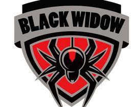 Black Widow Logo - Design A Logo For E Sports Team (Black Widow ESports)