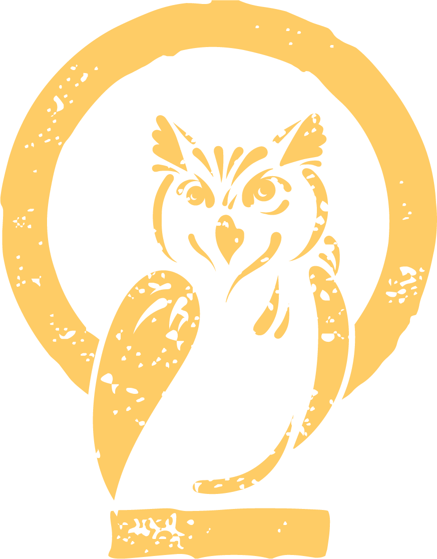 Night Owl Logo - Night Owl Brands