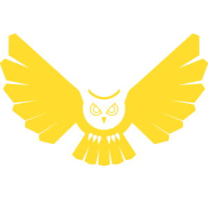 Night Owl Logo - night owl brewing