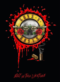 Guns N' Roses 6 Logo - Not in This Lifetime. Tour
