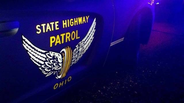 Blue Horse and Driver Logo - Ohio driver dies after hitting dead horse, flipping truck