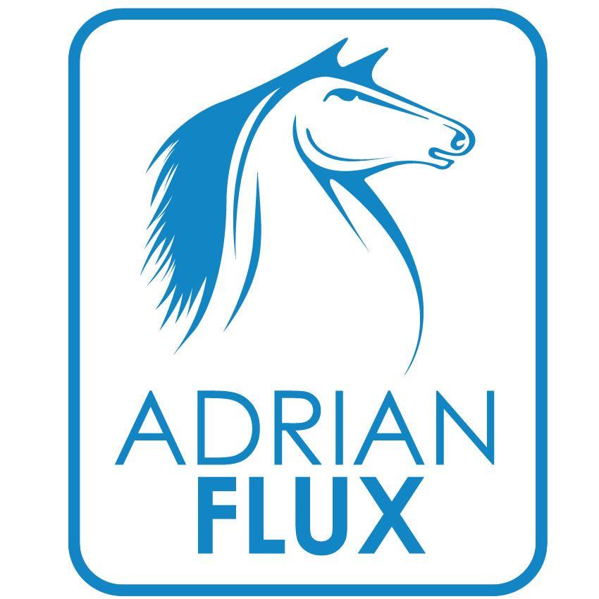 Blue Horse and Driver Logo - Learner Driver Insurance Tips and FAQs from Adrian Flux