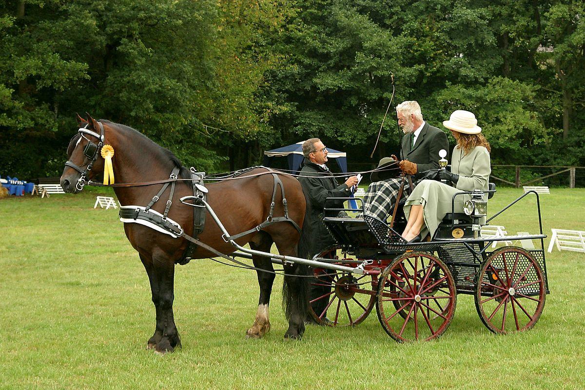 Blue Horse and Driver Logo - Driving (horse)