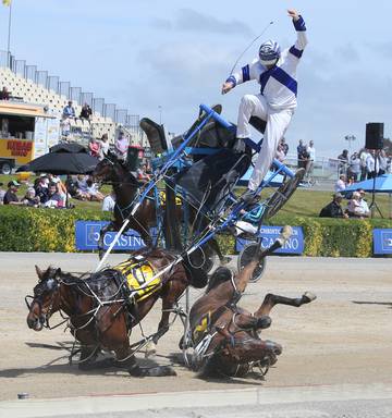 Blue Horse and Driver Logo - Horse racing: Spectacular crash sends driver flying in Addington ...